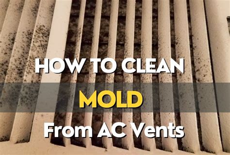 mold treatment for air conditioning